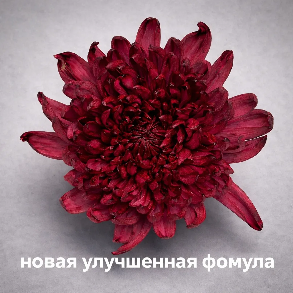 ВИШНЕВЫЙ